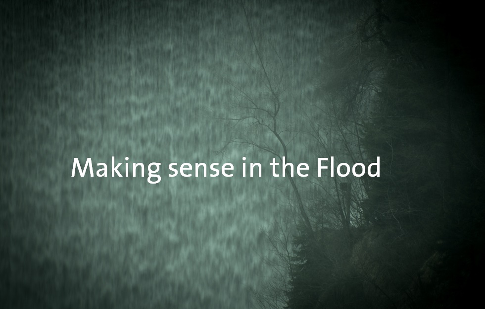 Making sense in the flood. How to cope with the massive flow of digital information in medical ethics